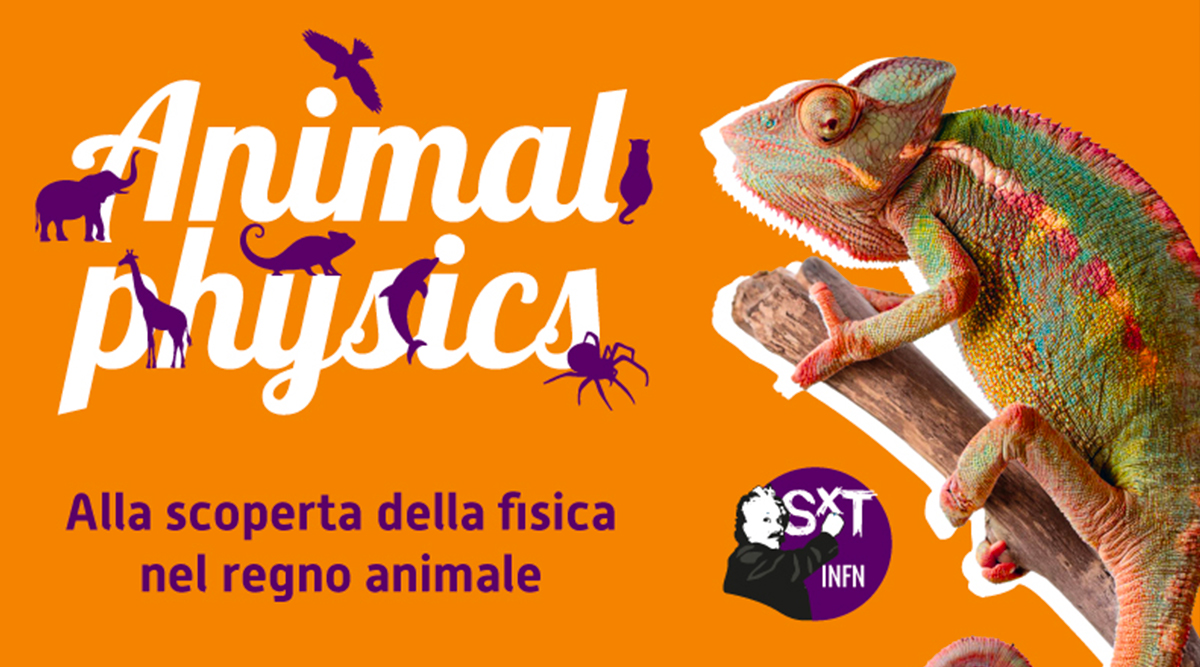 "ANIMAL PHYSICS!”: VIA AL CONCORSO DI SCIENZAPERTUTTI PER LE SCUOLE 