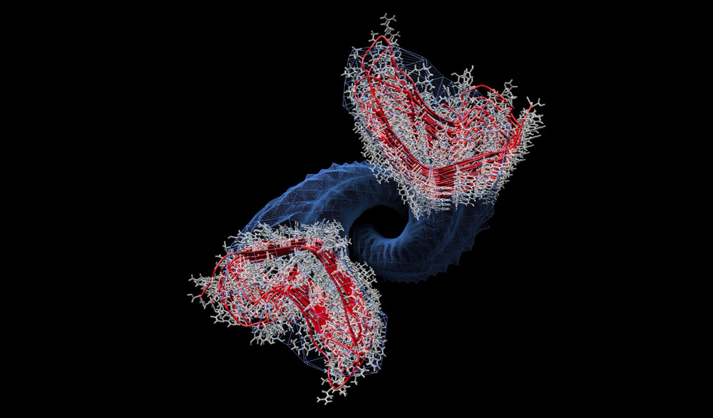 fibrille prioni web
